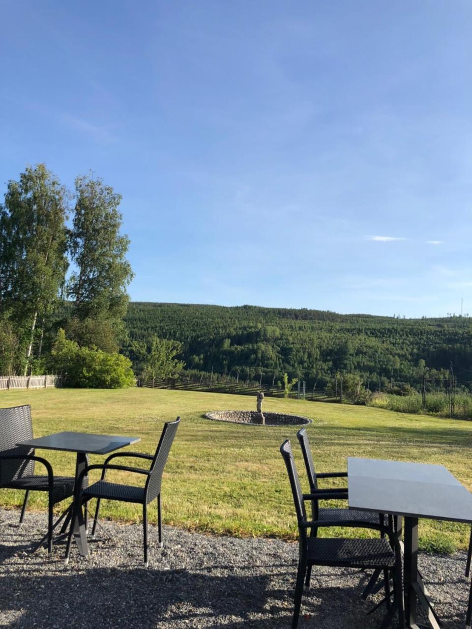 Hotell Restaurang Naemforsen Nasaker Экстерьер фото