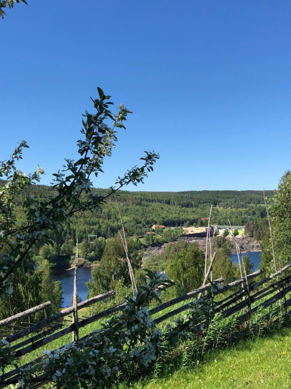 Hotell Restaurang Naemforsen Nasaker Экстерьер фото